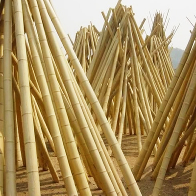 Dimensioni personalizzate Puro Moso Naturale Pallone di Bambù Seco Pallone di Bambù Massello Moso Per Costruzione O Decorazione