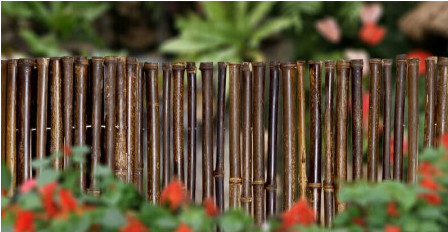 180cm 240cm ha rotolato la recinzione di bambù per la scuola materna del confine del giardino