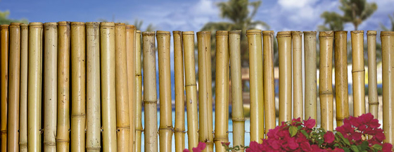 180cm 240cm ha rotolato la recinzione di bambù per la scuola materna del confine del giardino