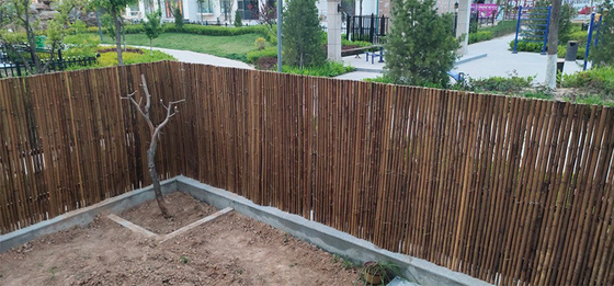 Recinzione di bambù decorativa 1.5x1.5m fatta a mano naturale di rotolamento del cortile del recinto