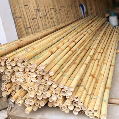 Pali di bambù naturali puri di bambù a 3 pollici di Moso Palo per giallo della decorazione della pianta