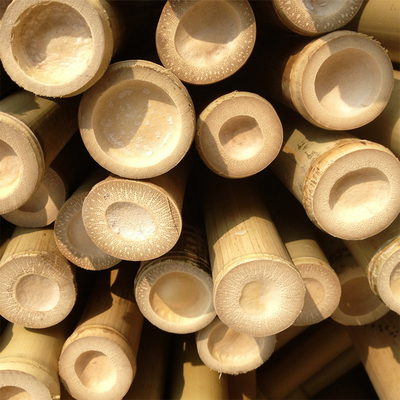 100% forte Moso durevole naturale Palo di bambù personalizzano la lunghezza