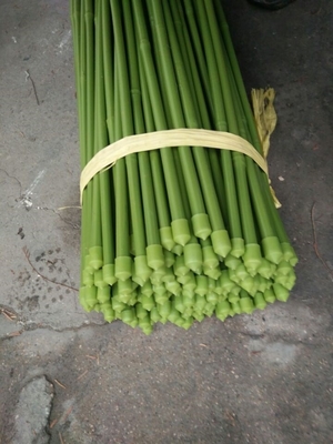 verde Pali di bambù di lunghezza di 40cm 60cm 90cm 120cm che dipingono verde