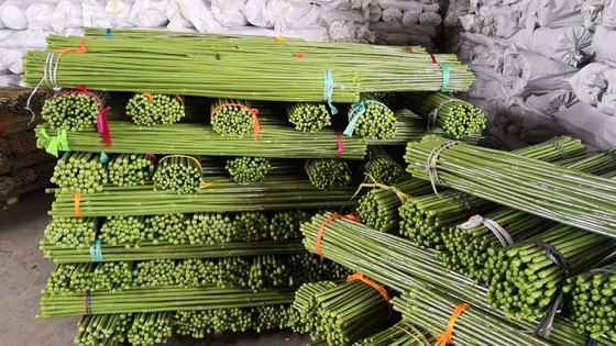 verde Pali di bambù di lunghezza di 40cm 60cm 90cm 120cm che dipingono verde