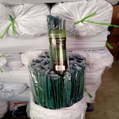 20cm hanno dipinto la decorazione verde di Rohi dei pali di bambù crudi di Pali