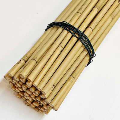 Bastoni di bambù di bambù crudo di 100% Pali Pali diametro di 0.014m - di 0.004m