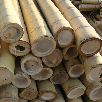 I bastoni di bambù di giardinaggio trattati secchi Pali fustiga i pali 16cm per costruzione
