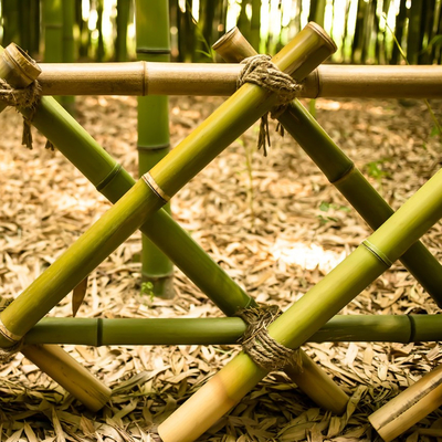 I bastoni di bambù di giardinaggio trattati secchi Pali fustiga i pali 16cm per costruzione