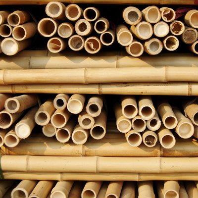 I bastoni di bambù di giardinaggio trattati secchi Pali fustiga i pali 16cm per costruzione