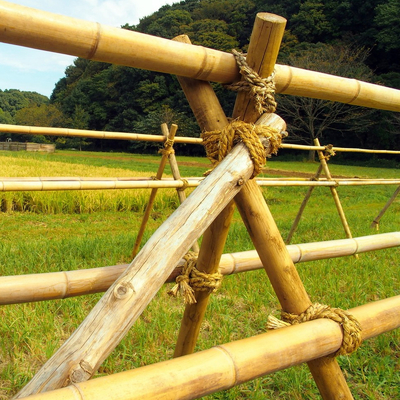 I bastoni di bambù di giardinaggio trattati secchi Pali fustiga i pali 16cm per costruzione