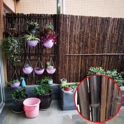 Giardino di bambù naturale di materia prima che recinta i pannelli con la lunghezza di 180cm 240cm