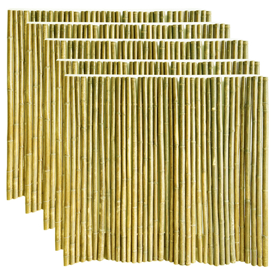 Recinto rotolato di bambù di schermatura di bambù colorato naturale del giardino di 240cm