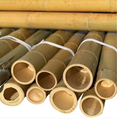 Legno di bambù rettilineo legno di bambù naturale per la decorazione lunghezza 300 cm