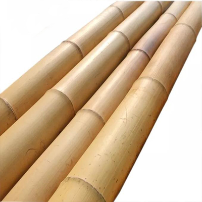 Pallone di bambù forte Perfetto per progetti fai-da-te, supporti e decorazioni