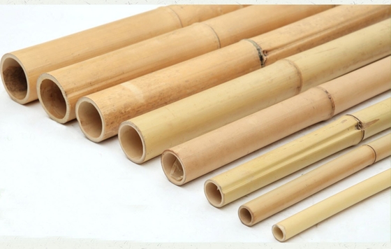 100% palo di bambù naturale lunghezza personalizzata supporto vegetale ecologico pali da giardino forti resistenti leggeri