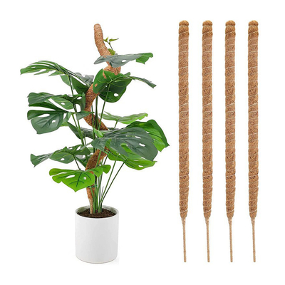Coltello di cocco di cocco taglia personalizzata Coco Coir Totem Pole Mat per le piante Crescita arrampicata