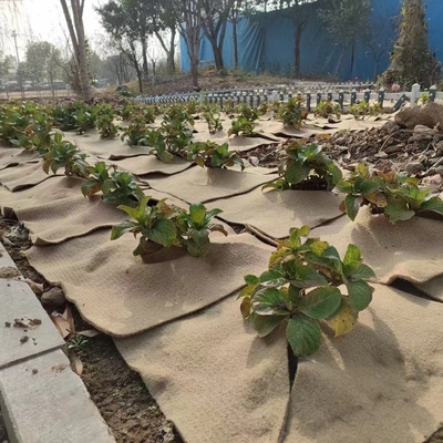 Matte naturale per piante di giuta protettore ecologico per piante in vaso, ornamento del giardino, germinazione dei semi